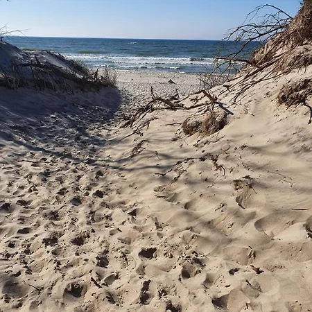 Laguna *