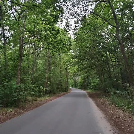 Laguna & Sauna !!! בית נופש